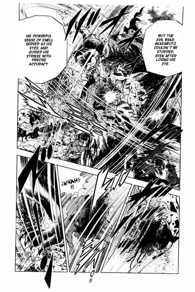 Page 14 Chapter 42 Silver Fang – The Shooting Star Gin –