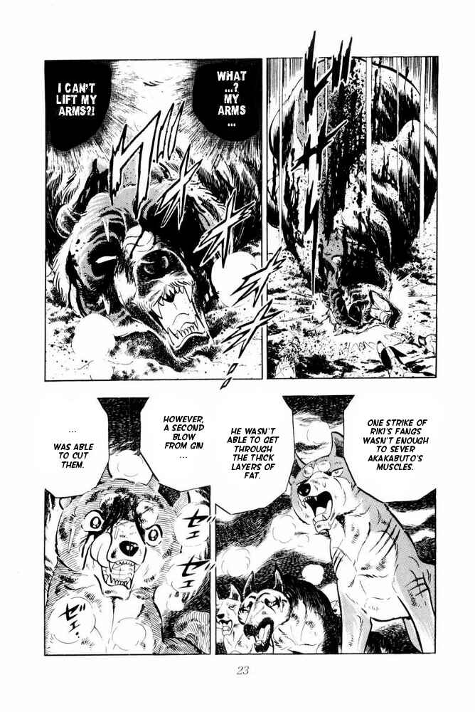 Page 25 Chapter 42 Silver Fang – The Shooting Star Gin –