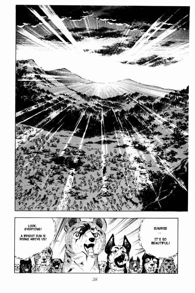 Page 39 Chapter 42 Silver Fang – The Shooting Star Gin –