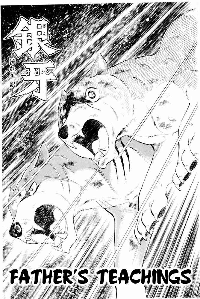 Page 8 Chapter 42 Silver Fang – The Shooting Star Gin –
