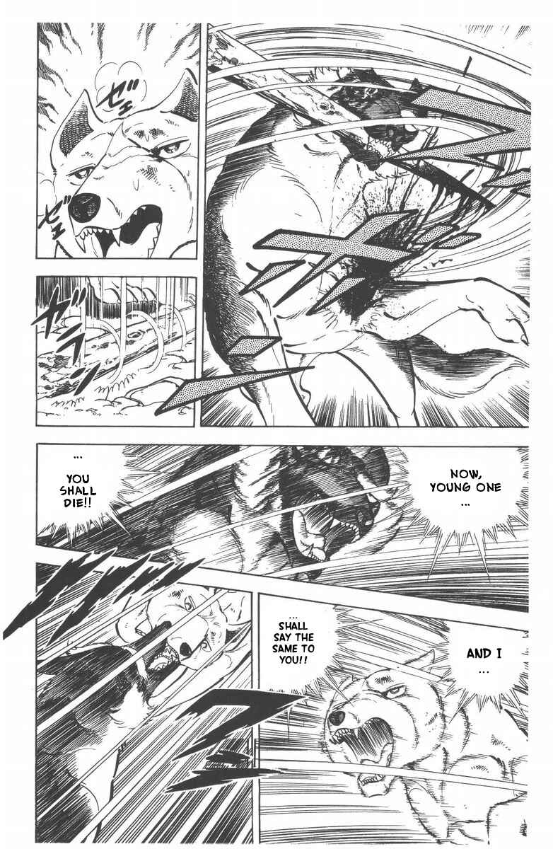 Page 41 Chapter 53 Silver Fang – The Shooting Star Gin –