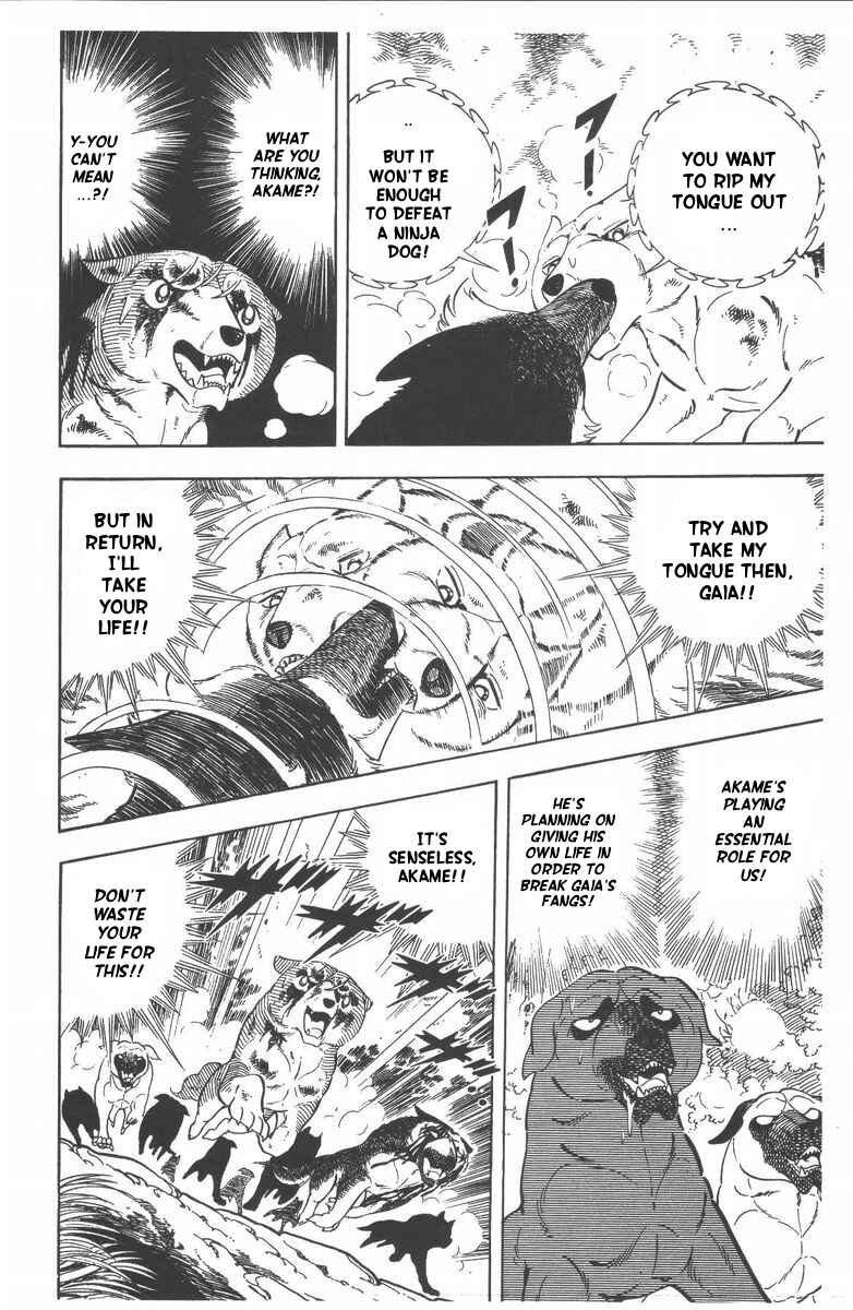 Page 43 Chapter 53 Silver Fang – The Shooting Star Gin –