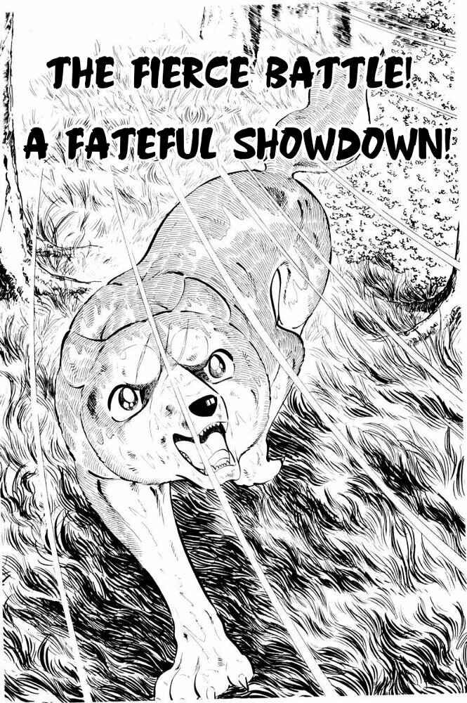 Page 1 Chapter 38 Silver Fang – The Shooting Star Gin –