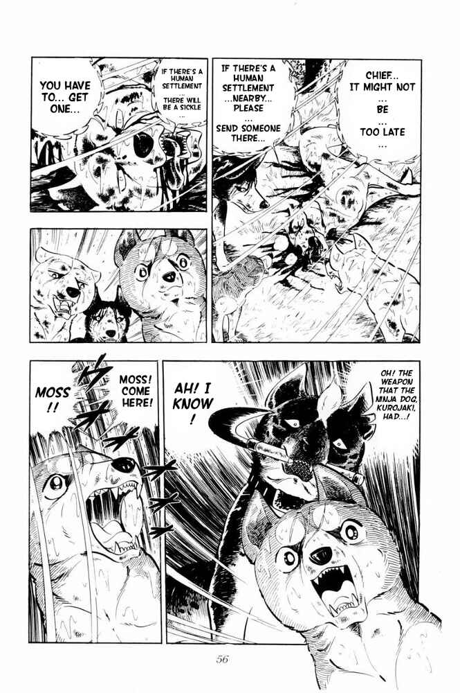 Page 10 Chapter 38 Silver Fang – The Shooting Star Gin –