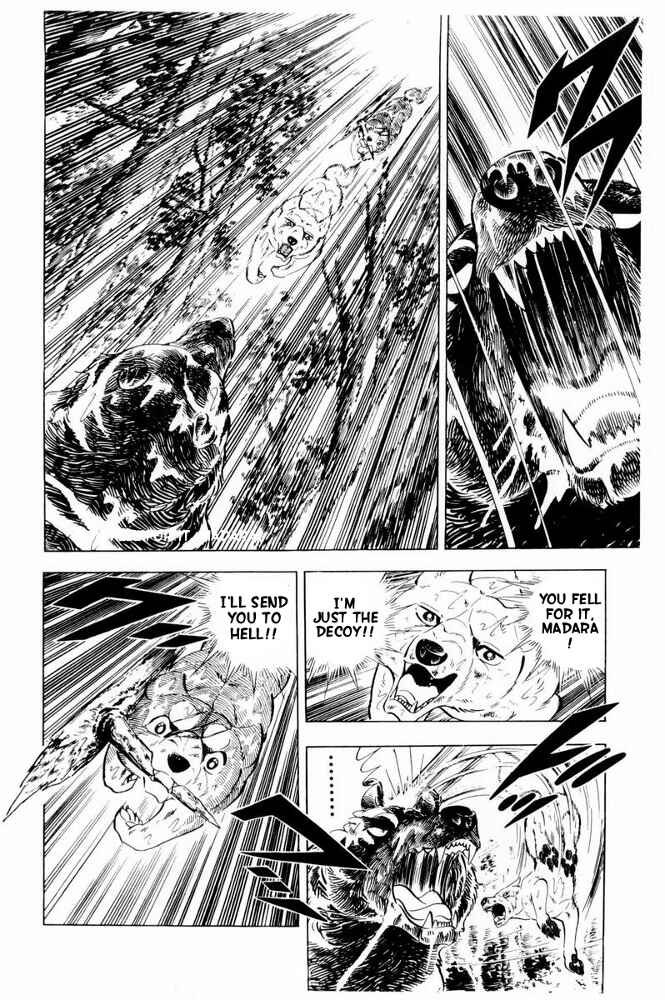 Page 18 Chapter 38 Silver Fang – The Shooting Star Gin –