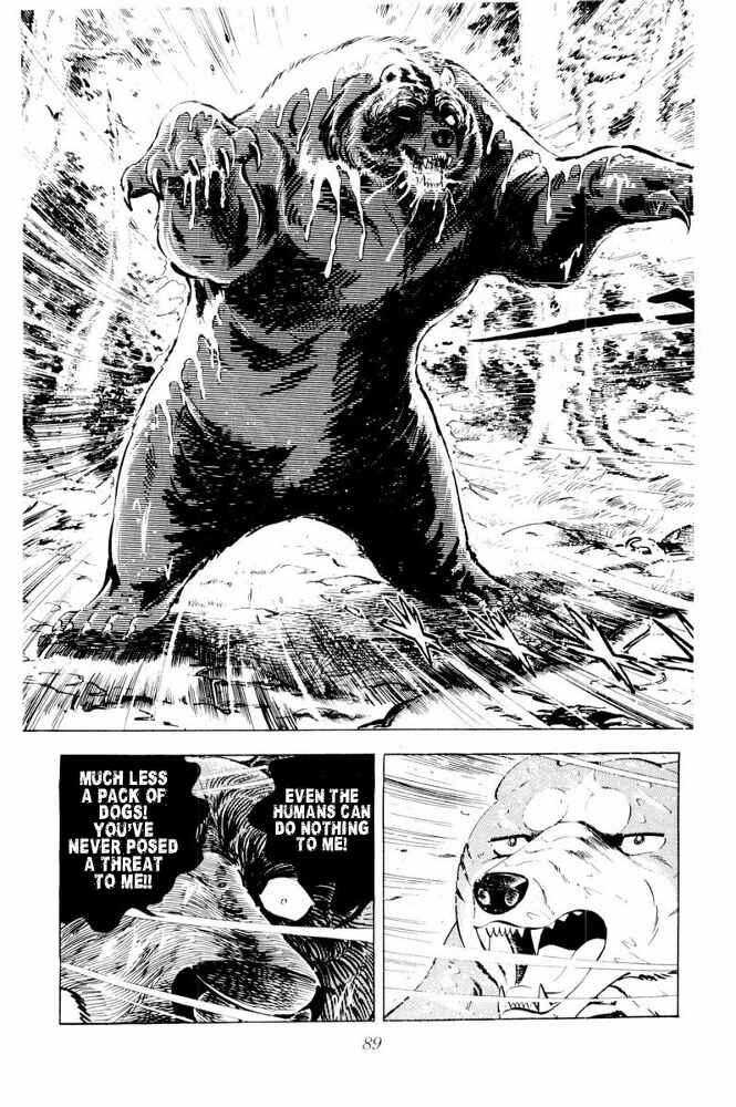 Page 43 Chapter 38 Silver Fang – The Shooting Star Gin –
