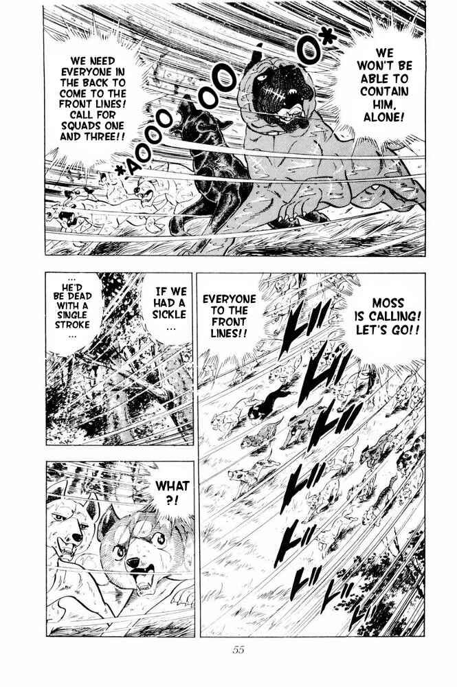 Page 9 Chapter 38 Silver Fang – The Shooting Star Gin –