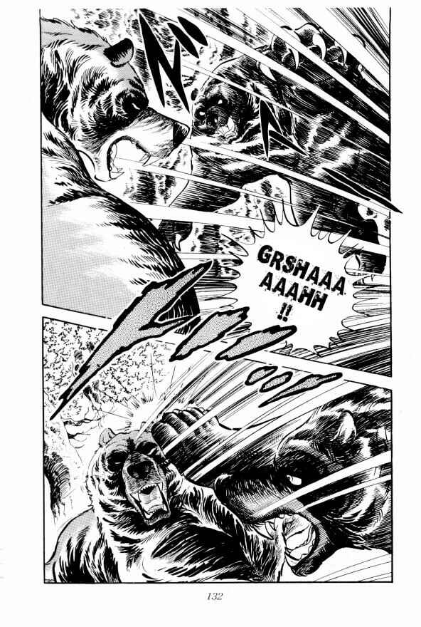 Page 15 Chapter 9 Silver Fang – The Shooting Star Gin –