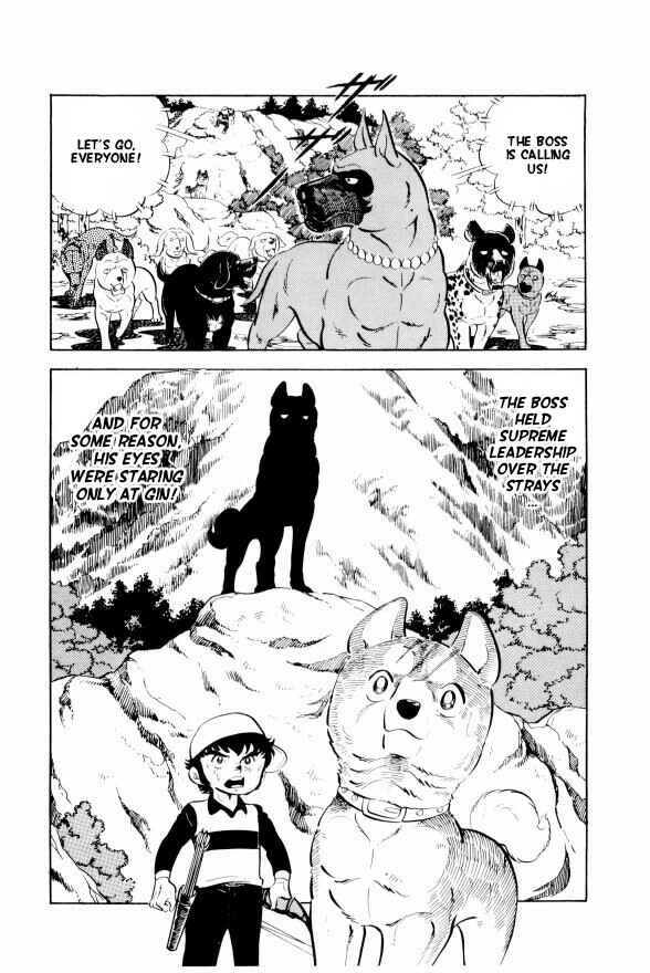 Page 40 Chapter 9 Silver Fang – The Shooting Star Gin –