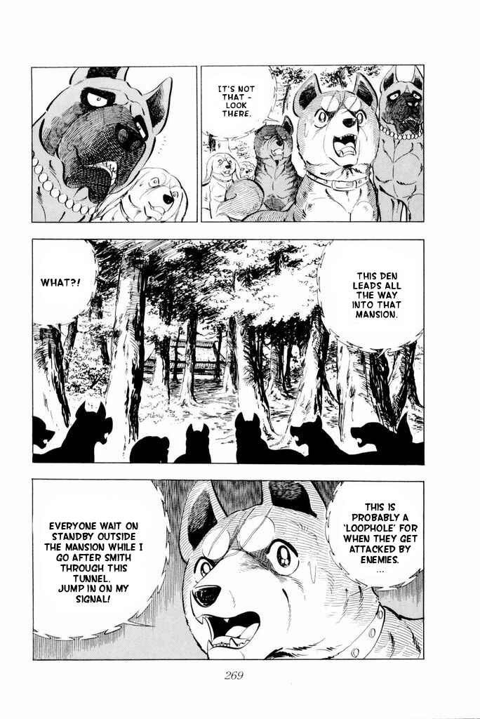 Page 4 Chapter 20 Silver Fang – The Shooting Star Gin –
