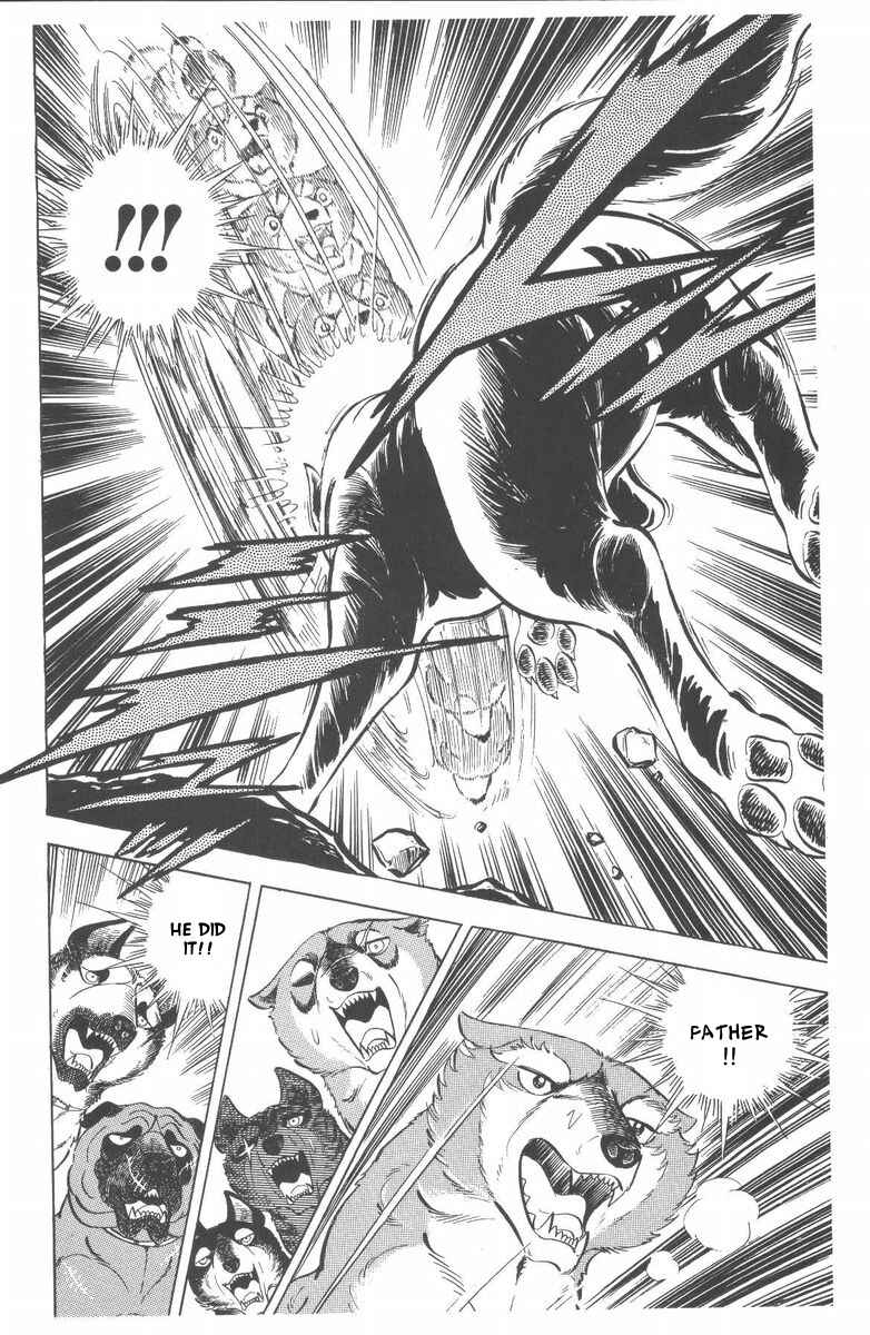 Page 23 Chapter 47 Silver Fang – The Shooting Star Gin –