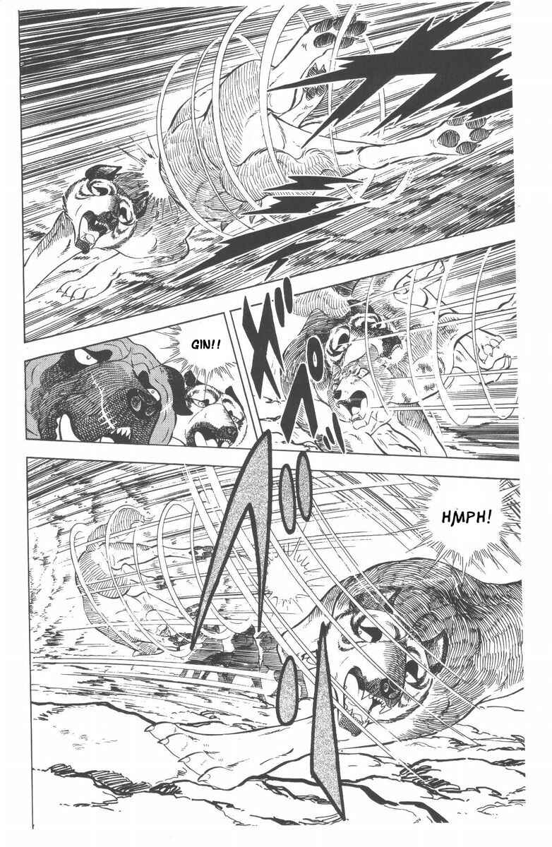 Page 25 Chapter 47 Silver Fang – The Shooting Star Gin –