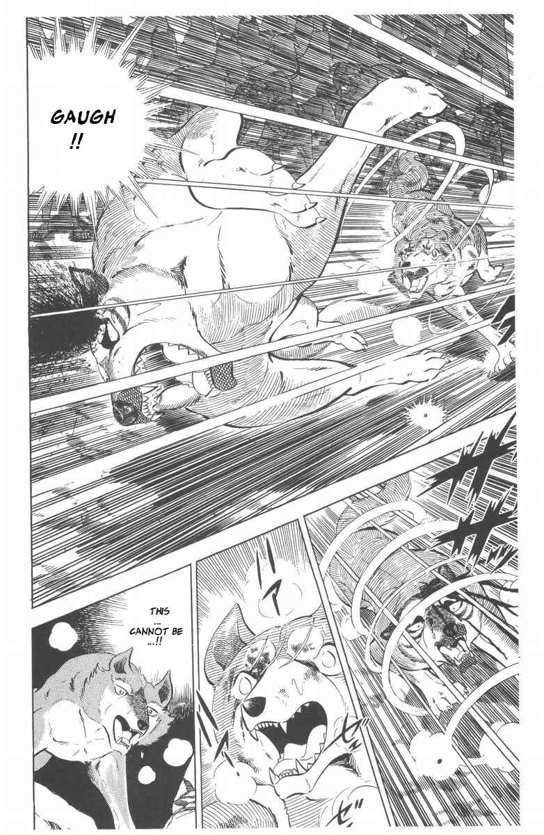 Page 33 Chapter 47 Silver Fang – The Shooting Star Gin –
