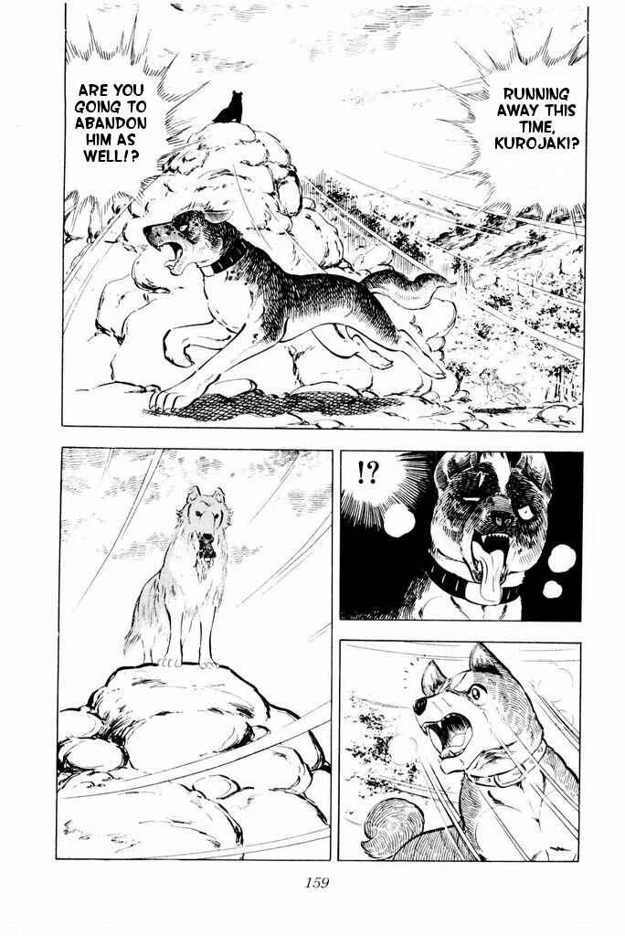 Page 17 Chapter 23 Silver Fang – The Shooting Star Gin –