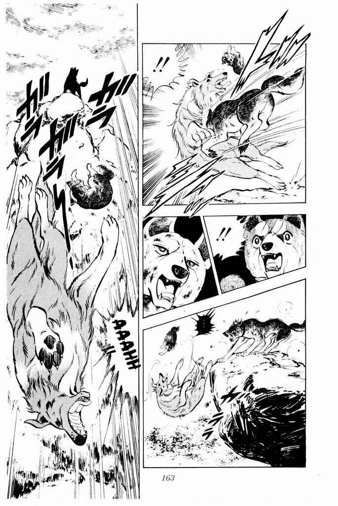 Page 21 Chapter 23 Silver Fang – The Shooting Star Gin –