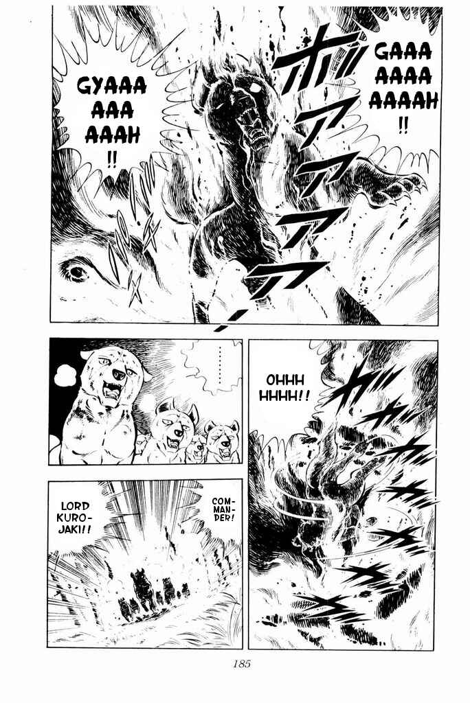 Page 43 Chapter 23 Silver Fang – The Shooting Star Gin –
