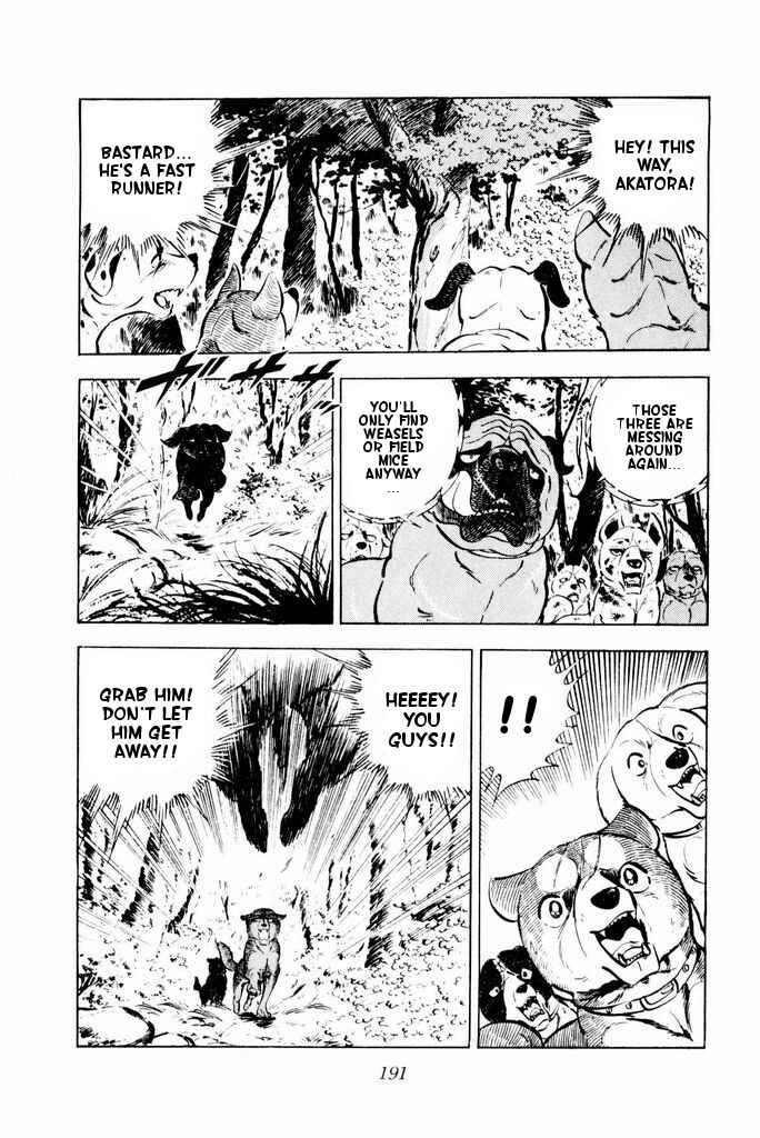 Page 49 Chapter 23 Silver Fang – The Shooting Star Gin –