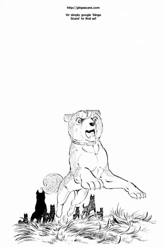Page 57 Chapter 23 Silver Fang – The Shooting Star Gin –