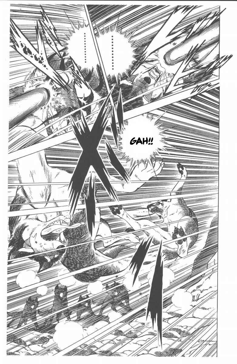 Page 25 Chapter 48 Silver Fang – The Shooting Star Gin –
