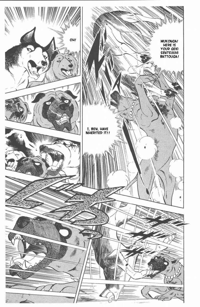 Page 47 Chapter 48 Silver Fang – The Shooting Star Gin –