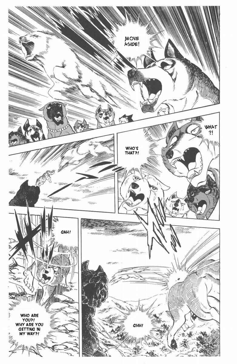 Page 76 Chapter 48 Silver Fang – The Shooting Star Gin –
