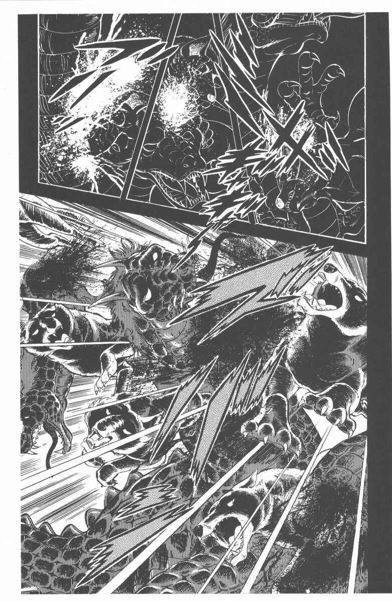 Page 9 Chapter 48 Silver Fang – The Shooting Star Gin –