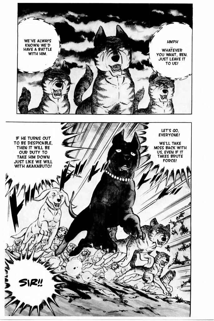 Page 10 Chapter 16 Silver Fang – The Shooting Star Gin –