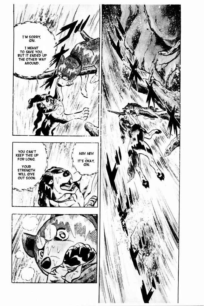 Page 14 Chapter 16 Silver Fang – The Shooting Star Gin –