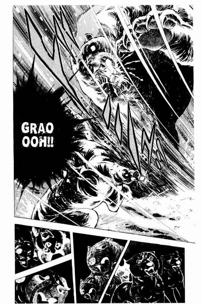 Page 38 Chapter 41 Silver Fang – The Shooting Star Gin –