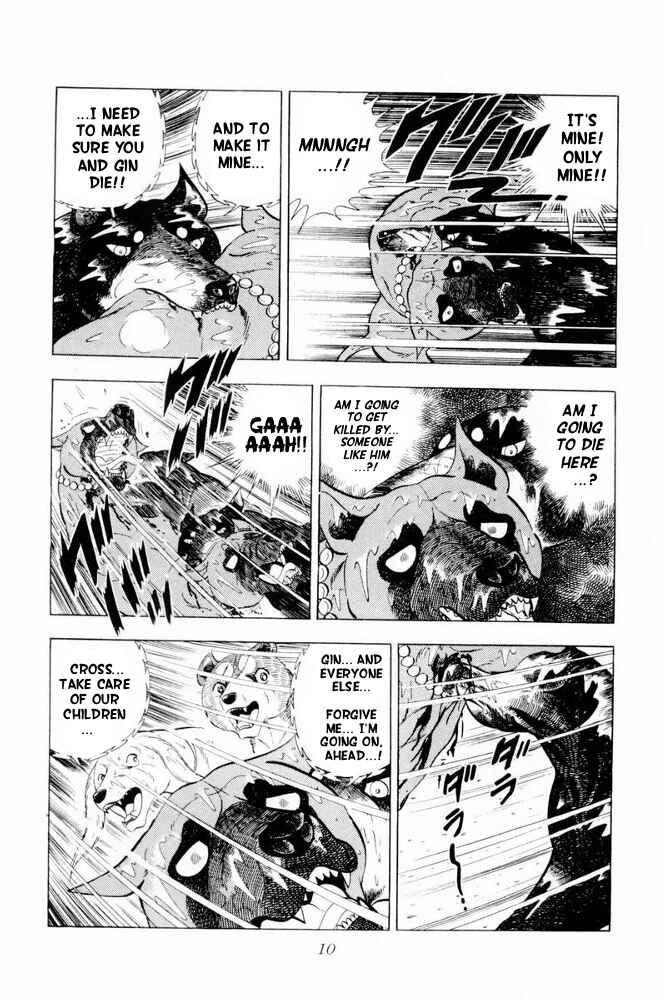Page 12 Chapter 37 Silver Fang – The Shooting Star Gin –