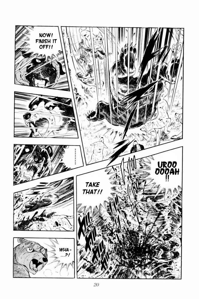 Page 22 Chapter 37 Silver Fang – The Shooting Star Gin –