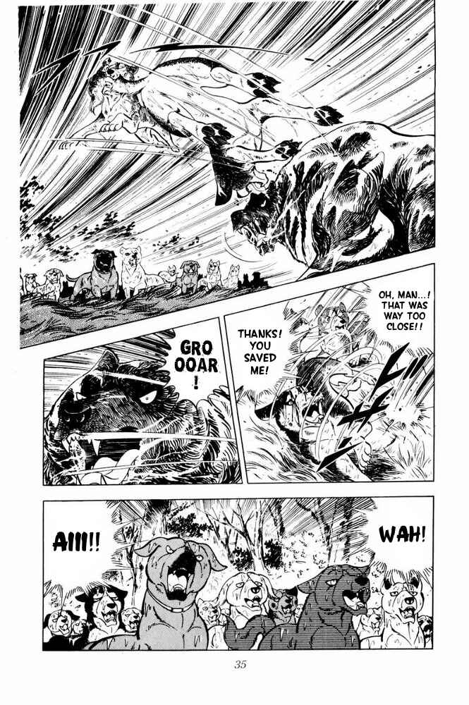 Page 37 Chapter 37 Silver Fang – The Shooting Star Gin –