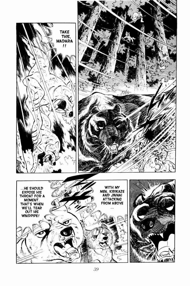 Page 41 Chapter 37 Silver Fang – The Shooting Star Gin –
