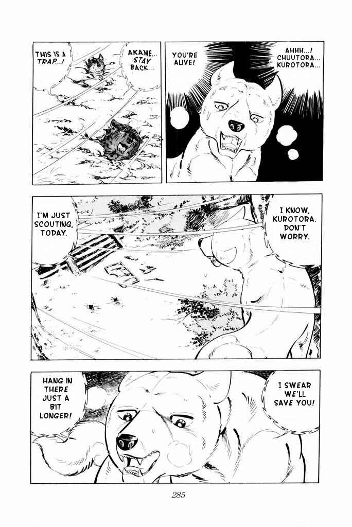 Page 12 Chapter 25 Silver Fang – The Shooting Star Gin –