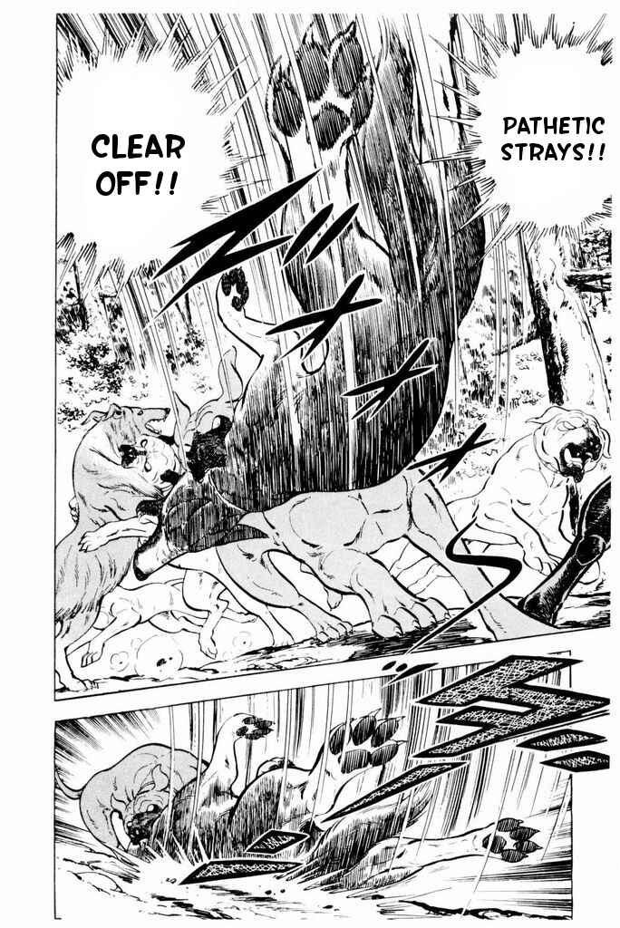 Page 33 Chapter 25 Silver Fang – The Shooting Star Gin –