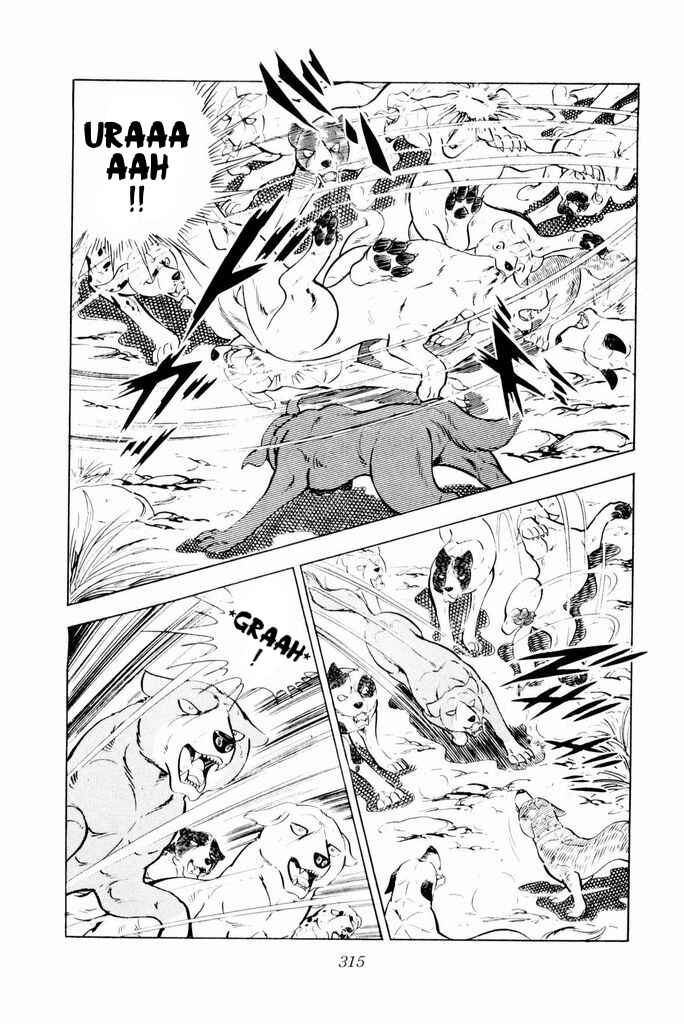 Page 41 Chapter 25 Silver Fang – The Shooting Star Gin –
