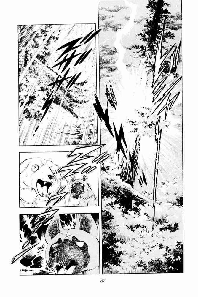 Page 17 Chapter 43 Silver Fang – The Shooting Star Gin –