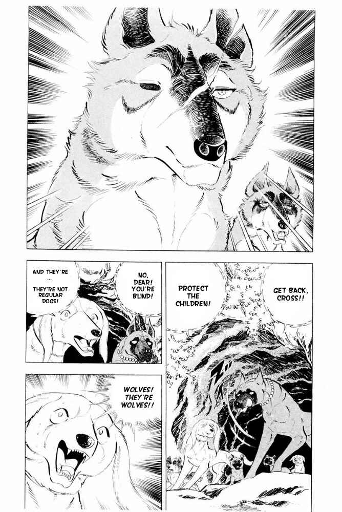 Page 19 Chapter 43 Silver Fang – The Shooting Star Gin –
