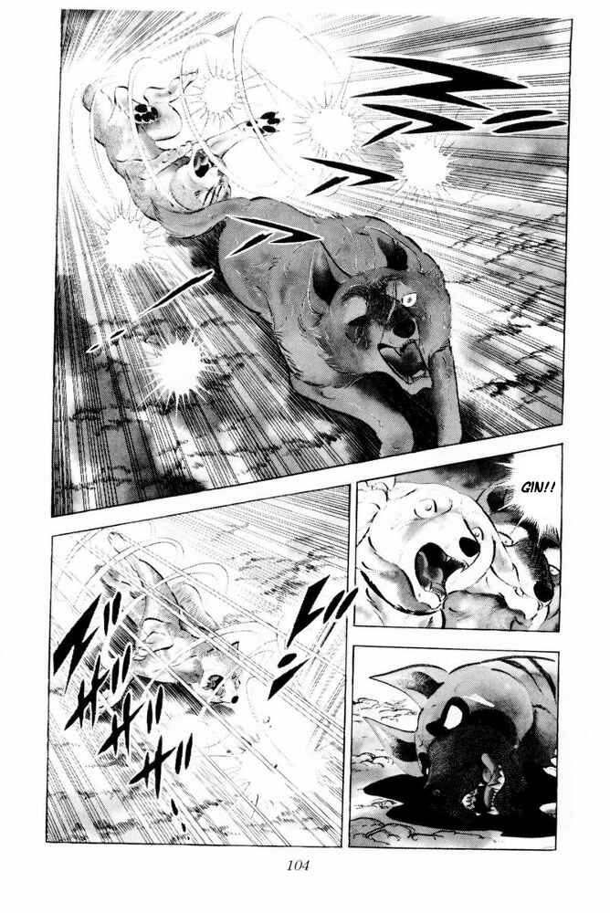 Page 31 Chapter 43 Silver Fang – The Shooting Star Gin –