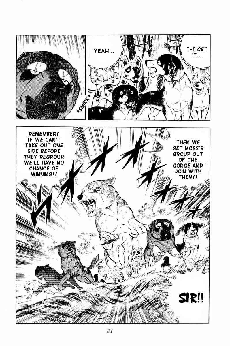 Page 38 Chapter 32 Silver Fang – The Shooting Star Gin –