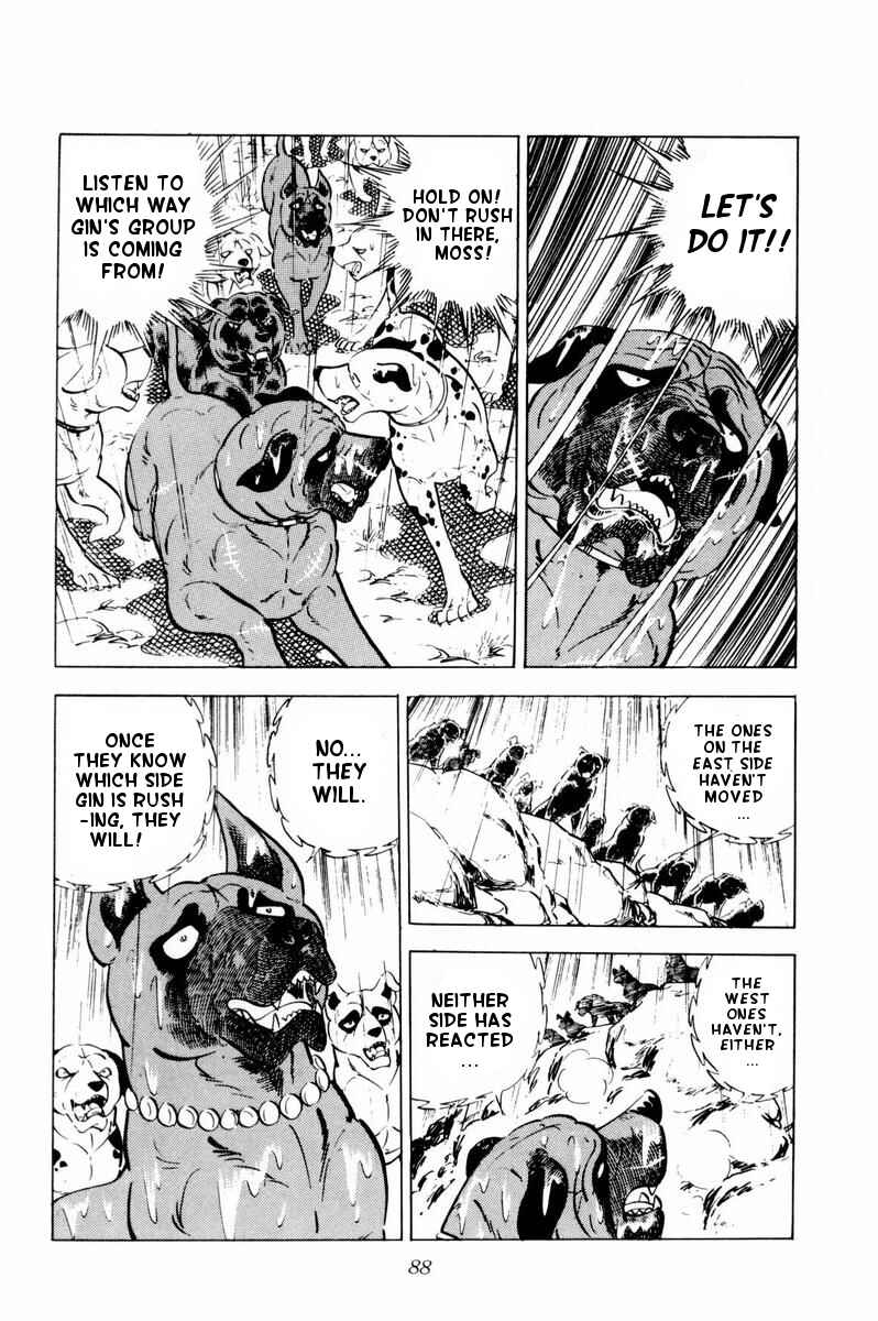 Page 41 Chapter 32 Silver Fang – The Shooting Star Gin –