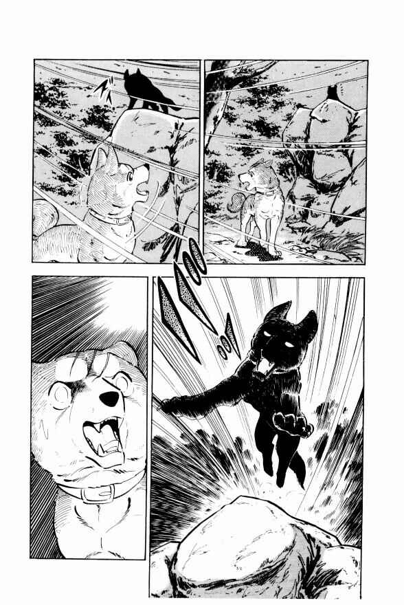 Page 12 Chapter 10 Silver Fang – The Shooting Star Gin –