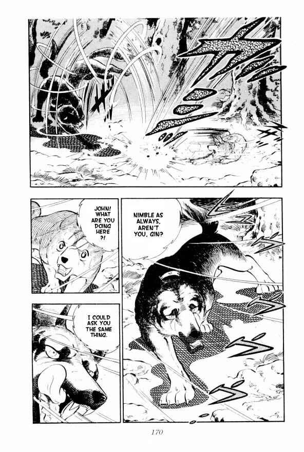 Page 13 Chapter 10 Silver Fang – The Shooting Star Gin –