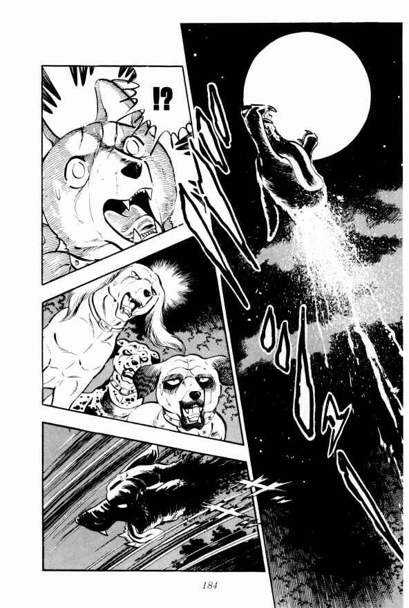 Page 26 Chapter 10 Silver Fang – The Shooting Star Gin –
