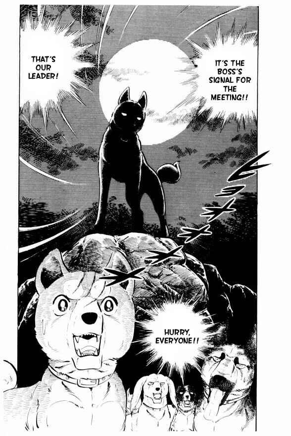 Page 61 Chapter 10 Silver Fang – The Shooting Star Gin –