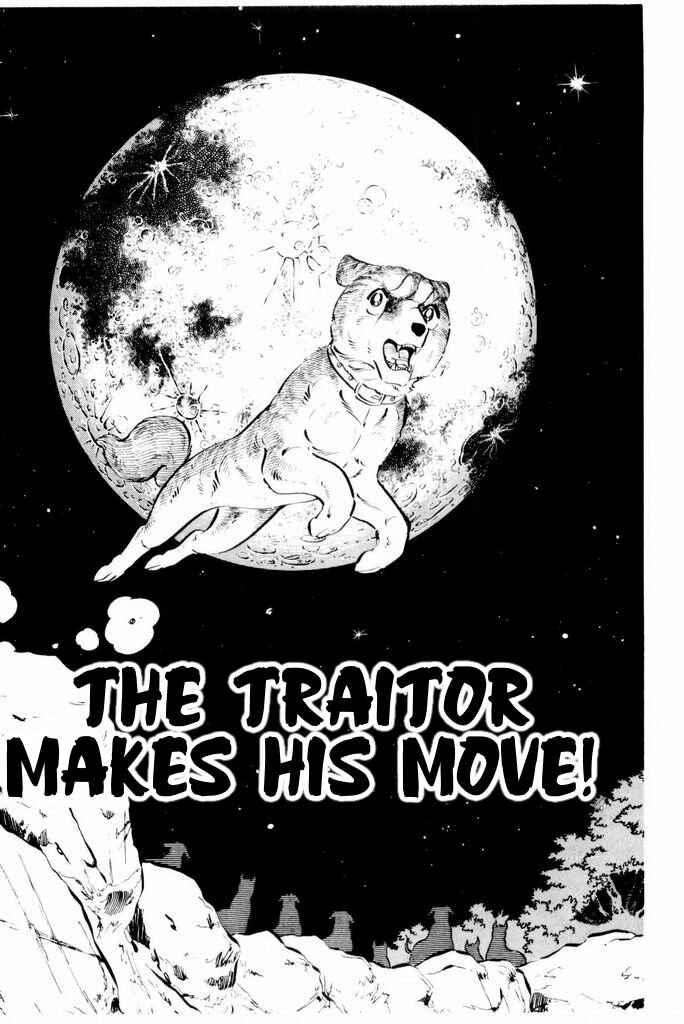 Page 1 Chapter 15 Silver Fang – The Shooting Star Gin –