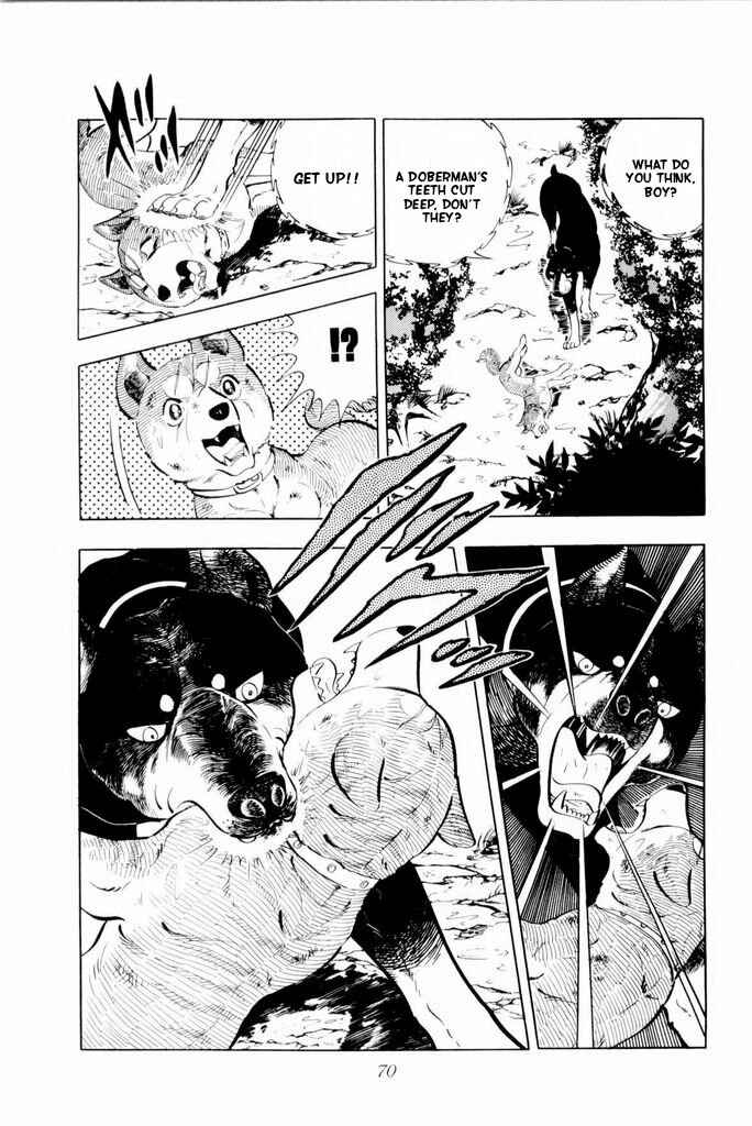 Page 26 Chapter 15 Silver Fang – The Shooting Star Gin –