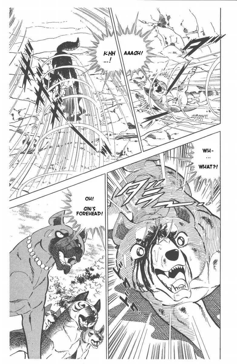 Page 24 Chapter 51 Silver Fang – The Shooting Star Gin –