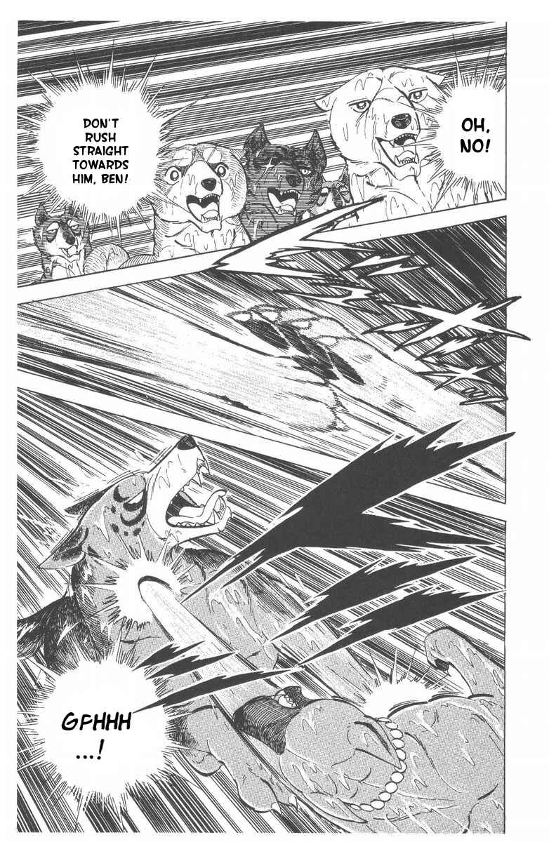 Page 5 Chapter 51 Silver Fang – The Shooting Star Gin –