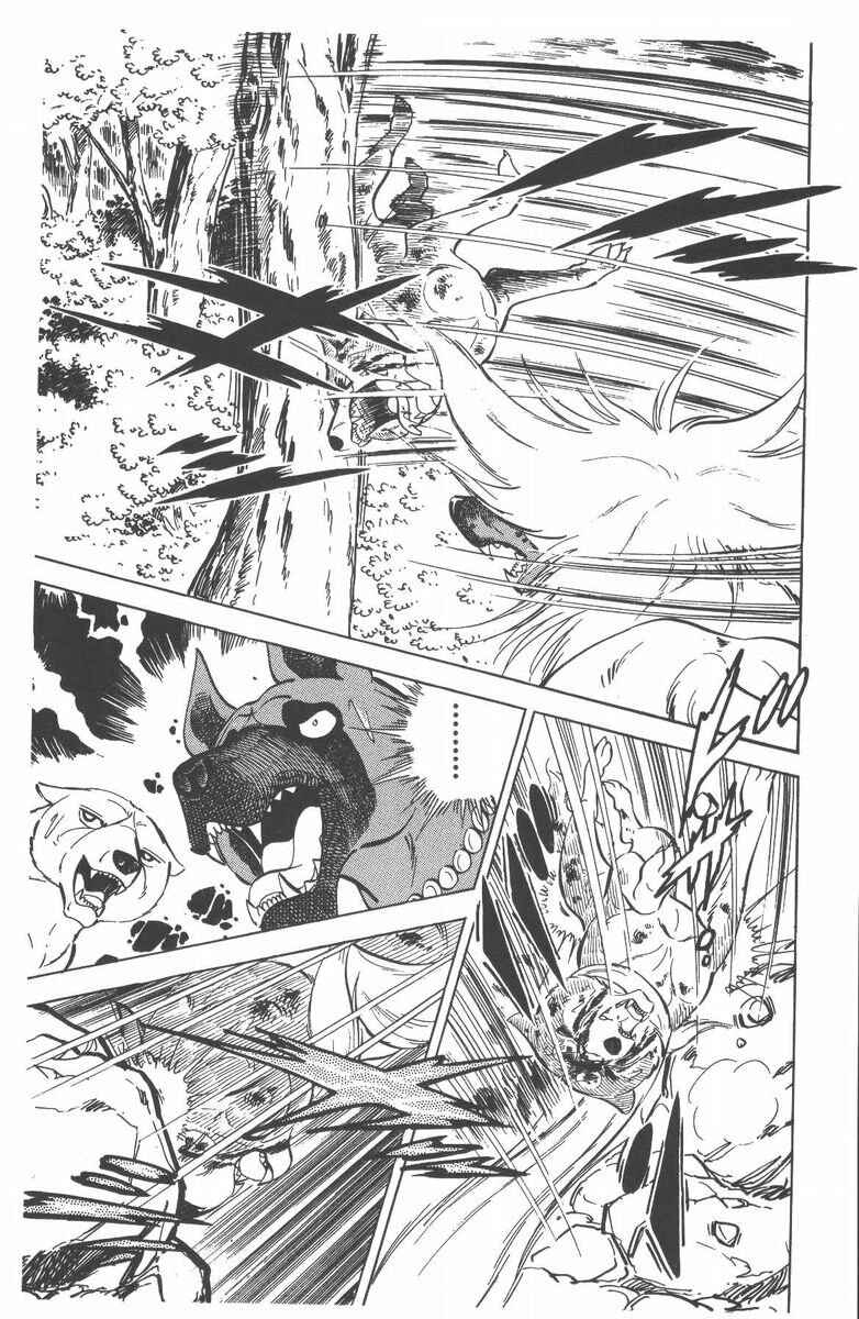 Page 58 Chapter 51 Silver Fang – The Shooting Star Gin –